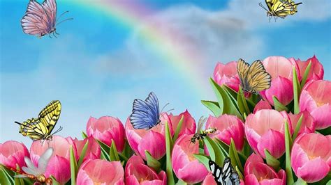Awesome Cartoon Flower Wallpapers.